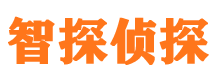 盐都外遇出轨调查取证